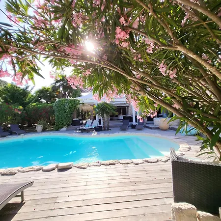 Petra Bianca A 10mn A Pied Du Port De Piscine Chauffee Privee 6 5 Sdb 12 Pers Villa